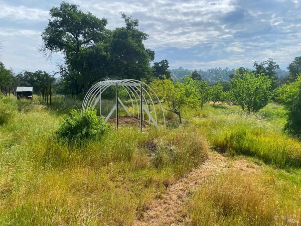 a view of a garden
