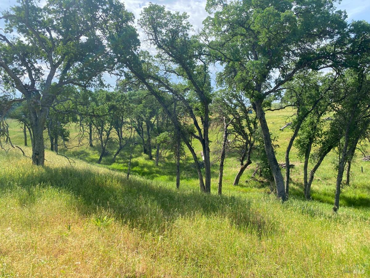 8600 Pleasants Valley Road Winters, CA 95694 - Photo 33 of 35