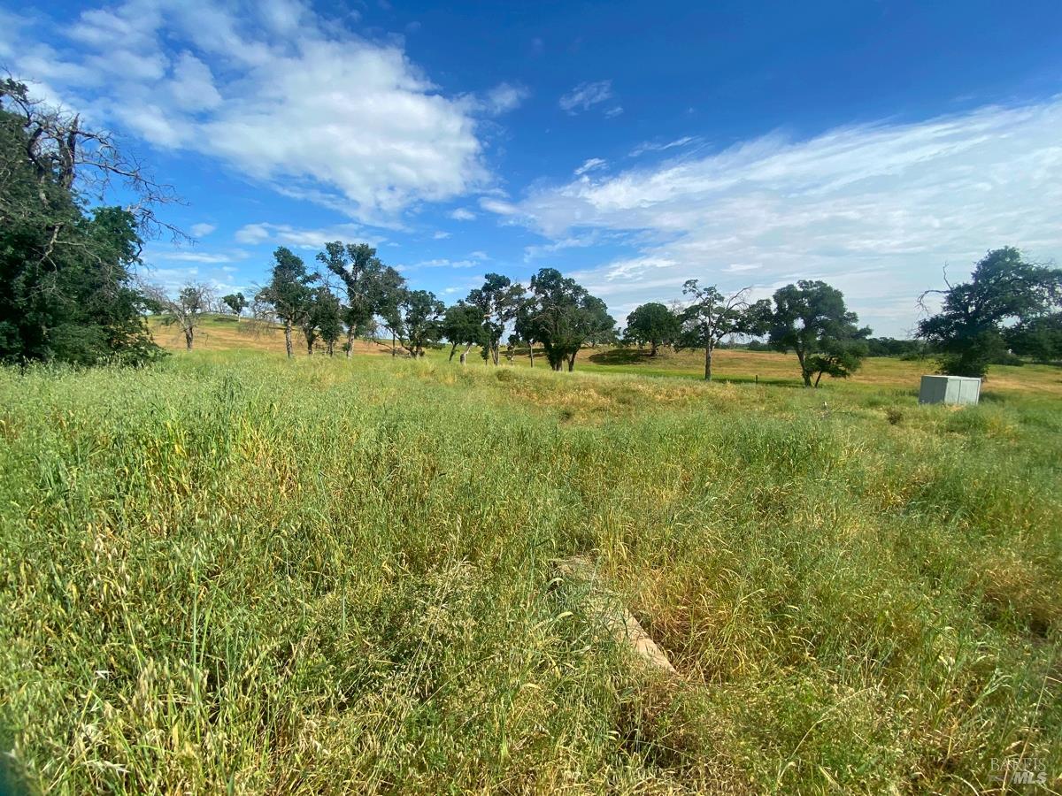 8600 Pleasants Valley Road Winters, CA 95694 - Photo 34 of 35