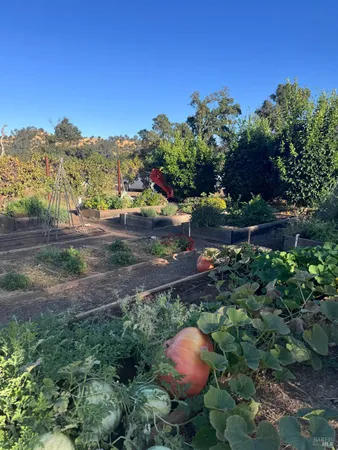 a backyard of a house with a yard and outdoor seating