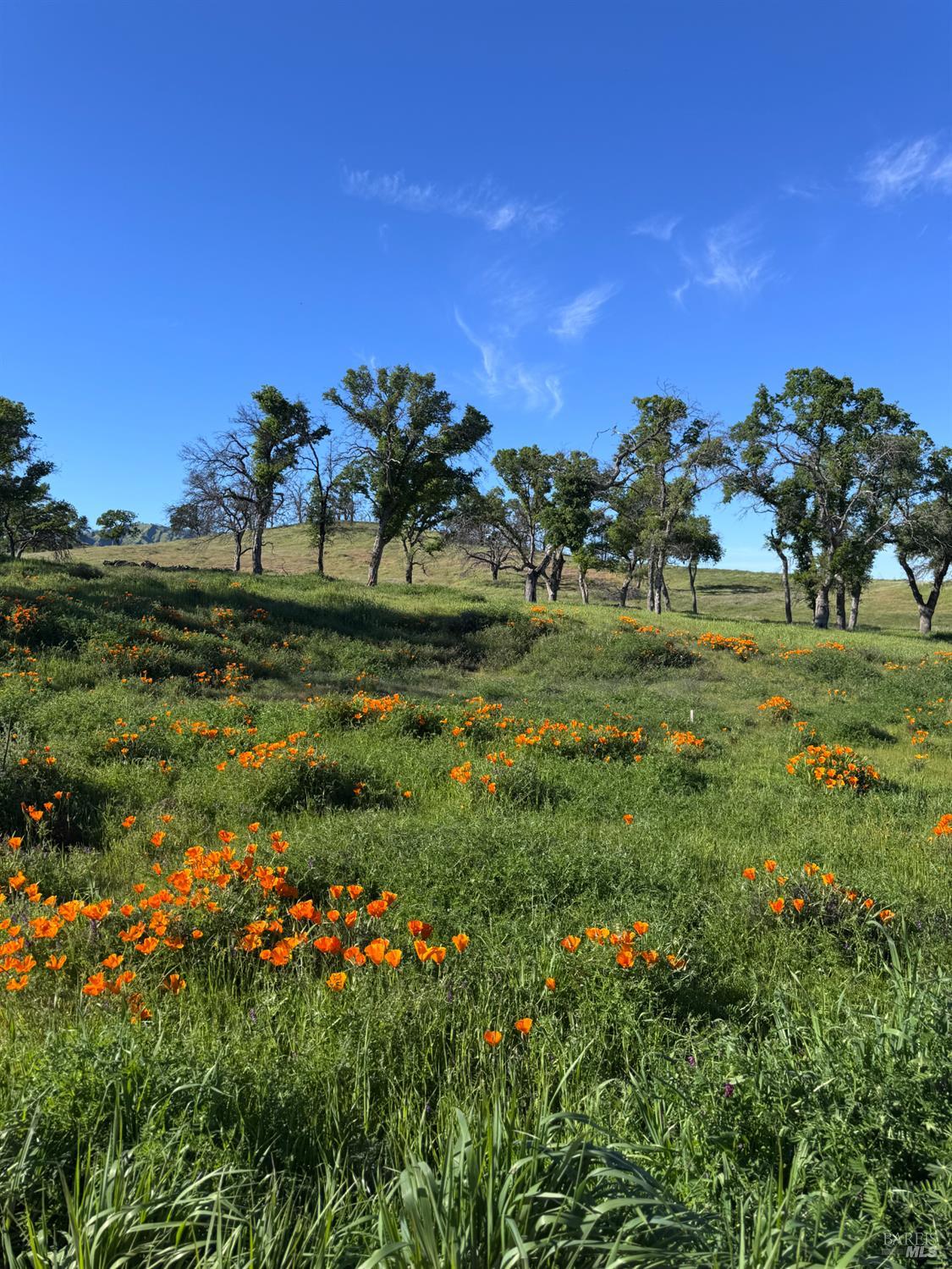 8600 Pleasants Valley Road Winters, CA 95694 - Photo 9 of 35