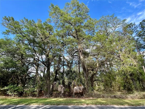 a view of a yard with an trees
