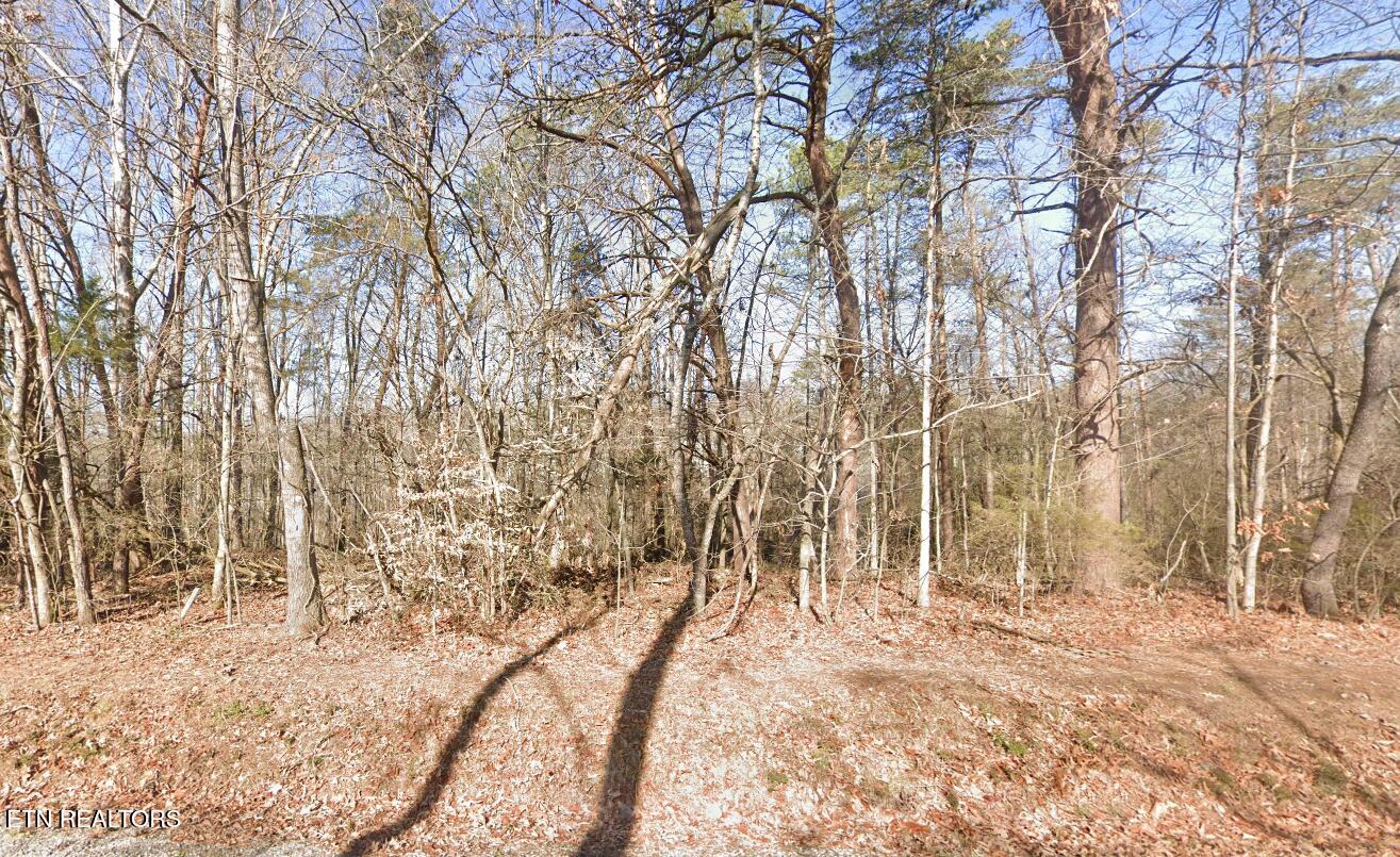 111 Chanusi Way Loudon, TN 37774 - Photo 1 of 3 111 Chanusi Way