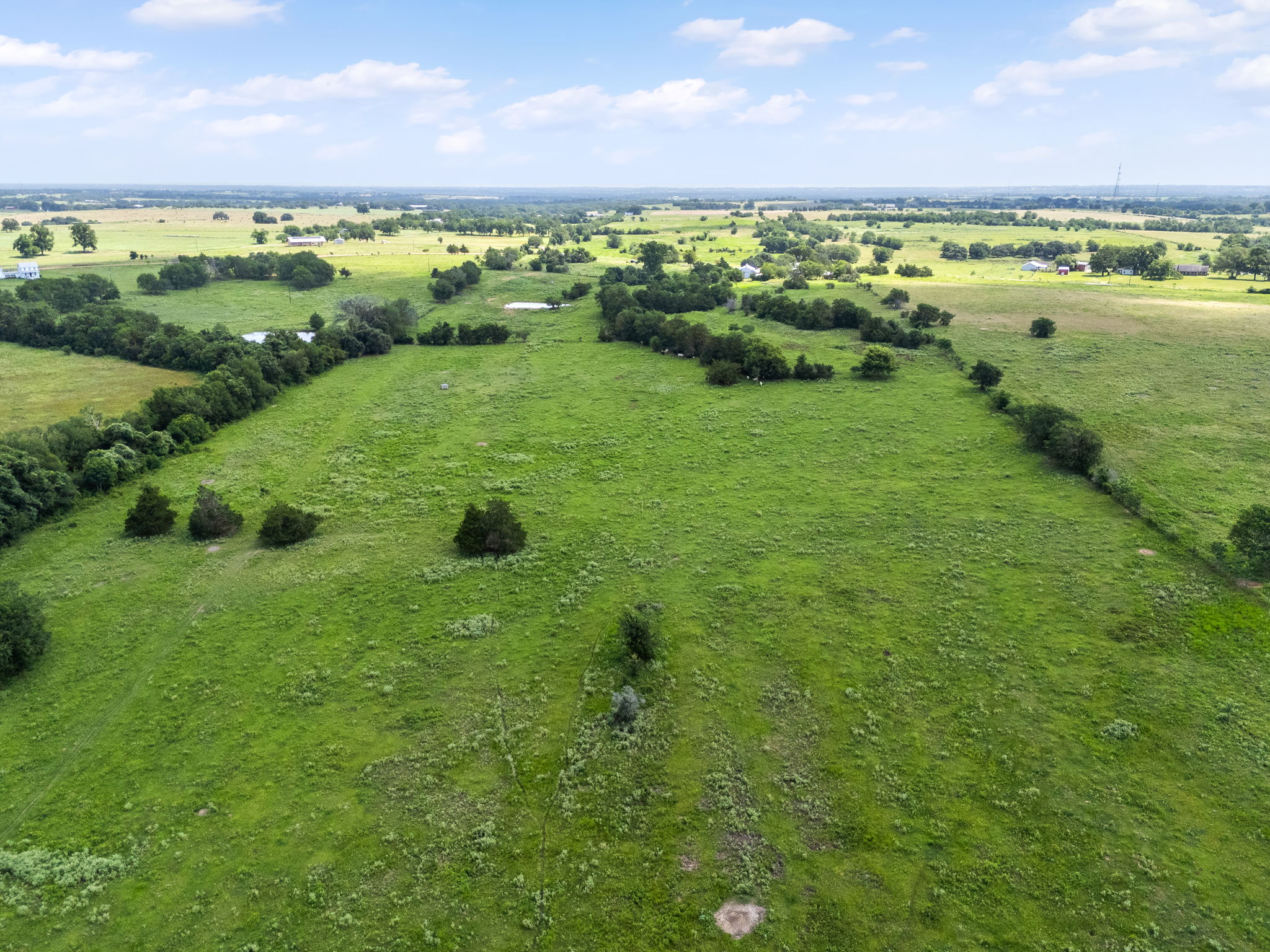 0 Thielemann Road Industry, TX 78944 - Photo 19 of 40 Vast green acreage unfolds under an expansive sky, offering idyllic rural views.