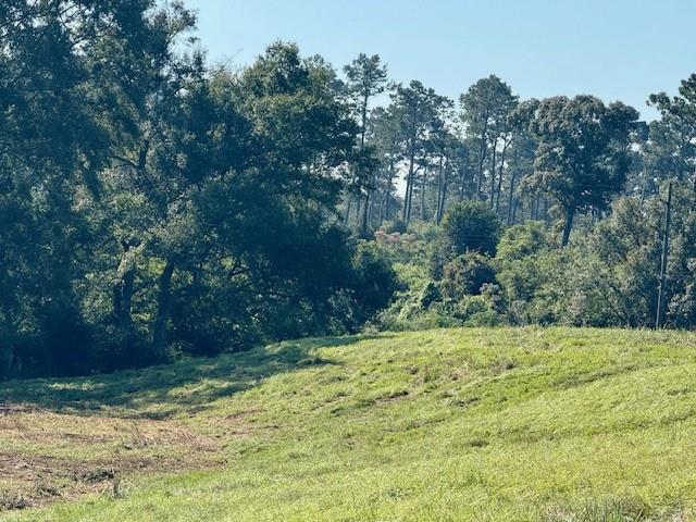 Tbd Bennie Morris Road Mount Hermon, LA 70450 - Photo 13 of 17
