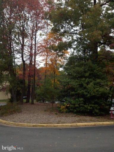 2240 Cartwright Place Reston, VA 20191 - Photo 2 of 19 Street View
