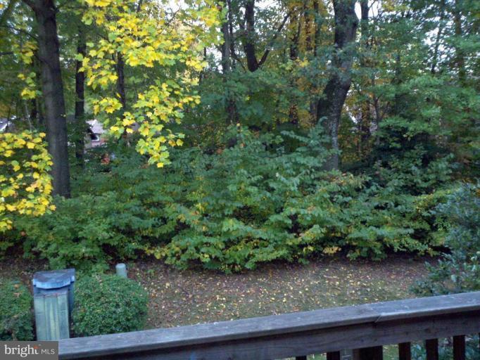 2240 Cartwright Place Reston, VA 20191 - Photo 3 of 19 Deck - View from