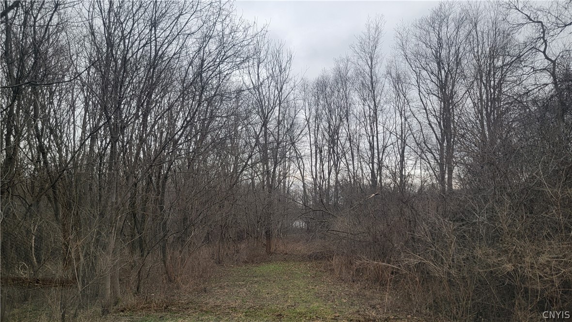 0 Sine Road Auburn, NY 13021 - Photo 3 of 3