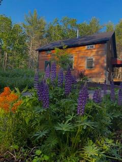 61 Sproul Hill Road Bristol, ME 04539 - Photo 3 of 51 IMG_3604