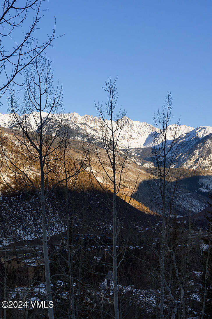 107 Rockledge Road Vail, CO 81657 - Photo 62 of 65 a backyard of a house with lots of green space
