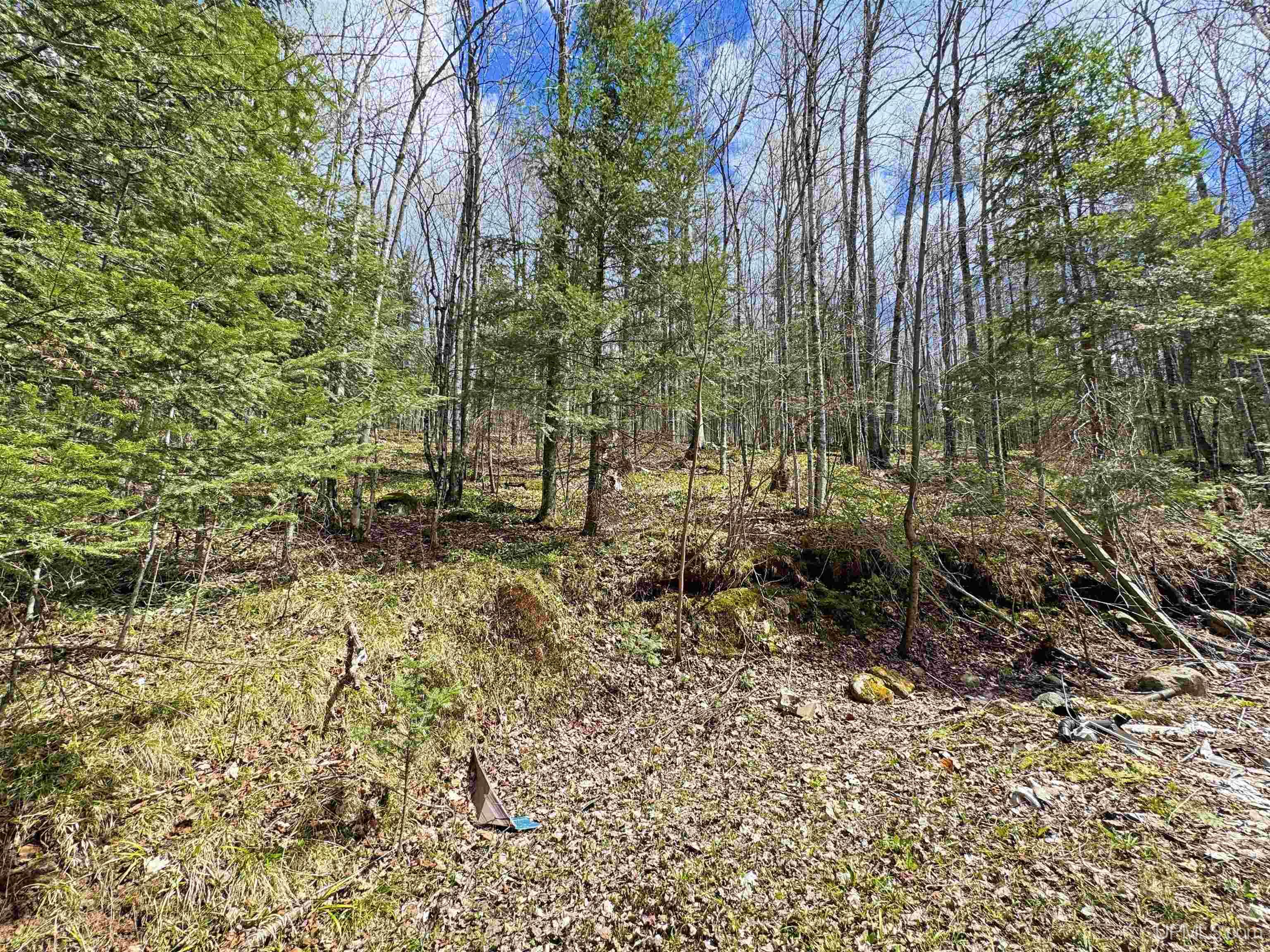 176 East Lake Emily Road Crystal Falls, MI 49920 - Photo 4 of 17