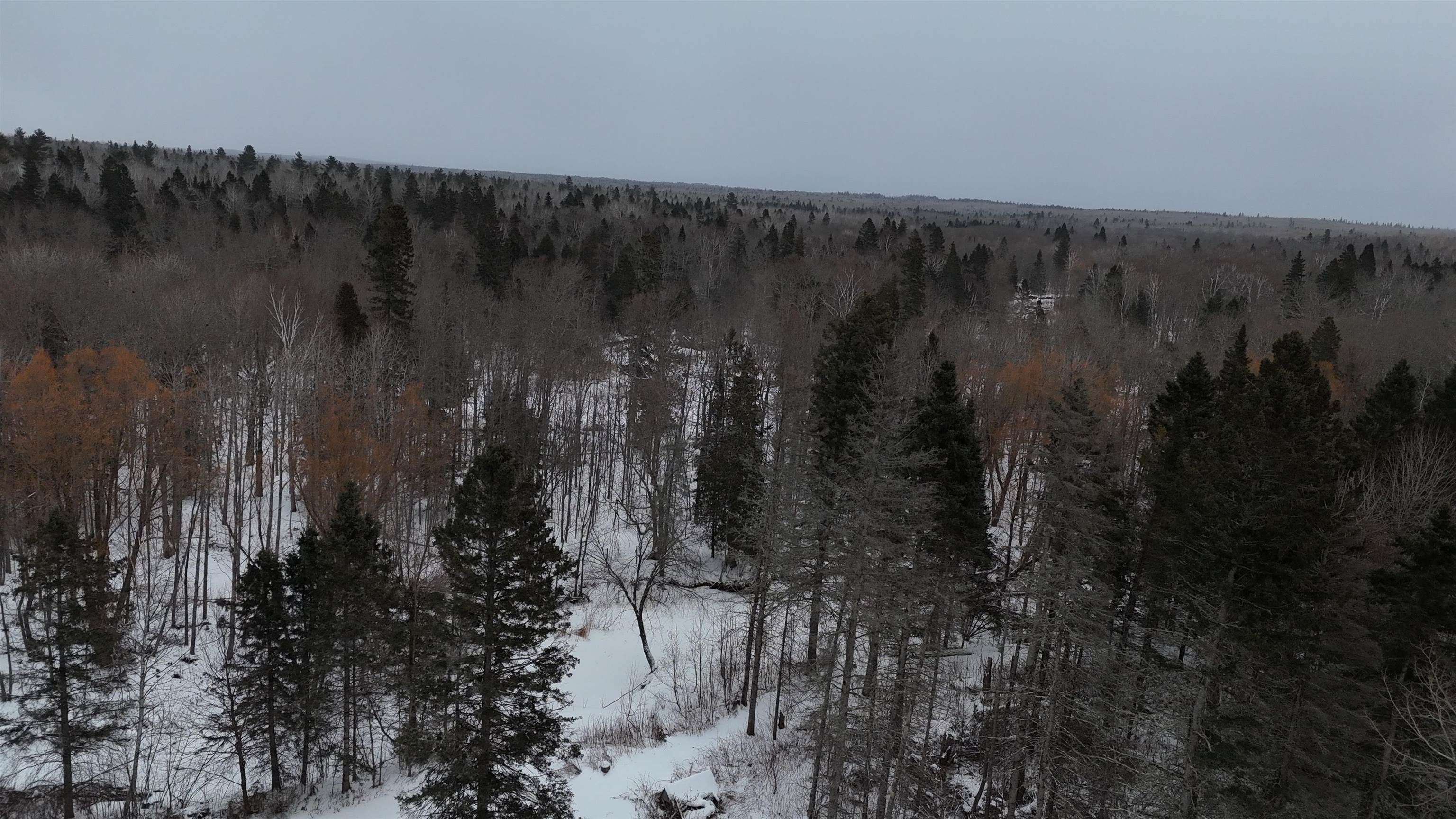 2497 South Nester Grade Road Two Harbors, MN 55616 - Photo 43 of 59