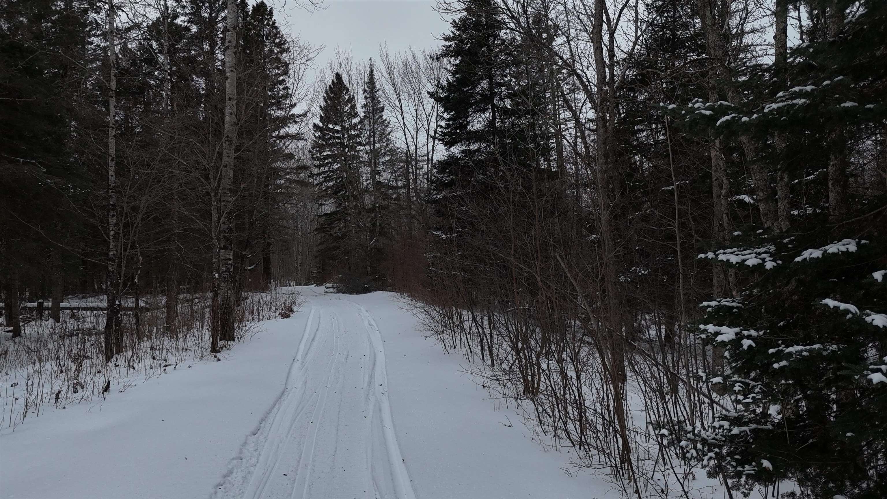 2497 South Nester Grade Road Two Harbors, MN 55616 - Photo 46 of 59