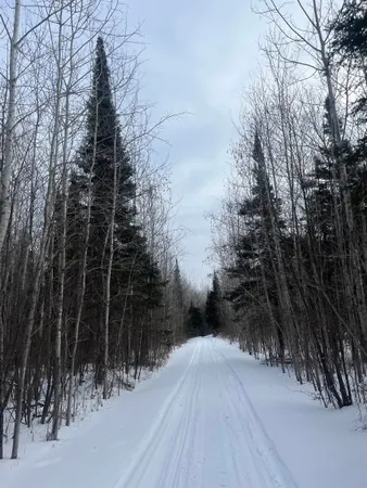 $215,000 | 2497 South Nester Grade Road, Two Harbors, MN 55616