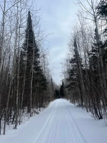 $219,000 | 2497 South Nester Grade Road, Two Harbors, MN 55616