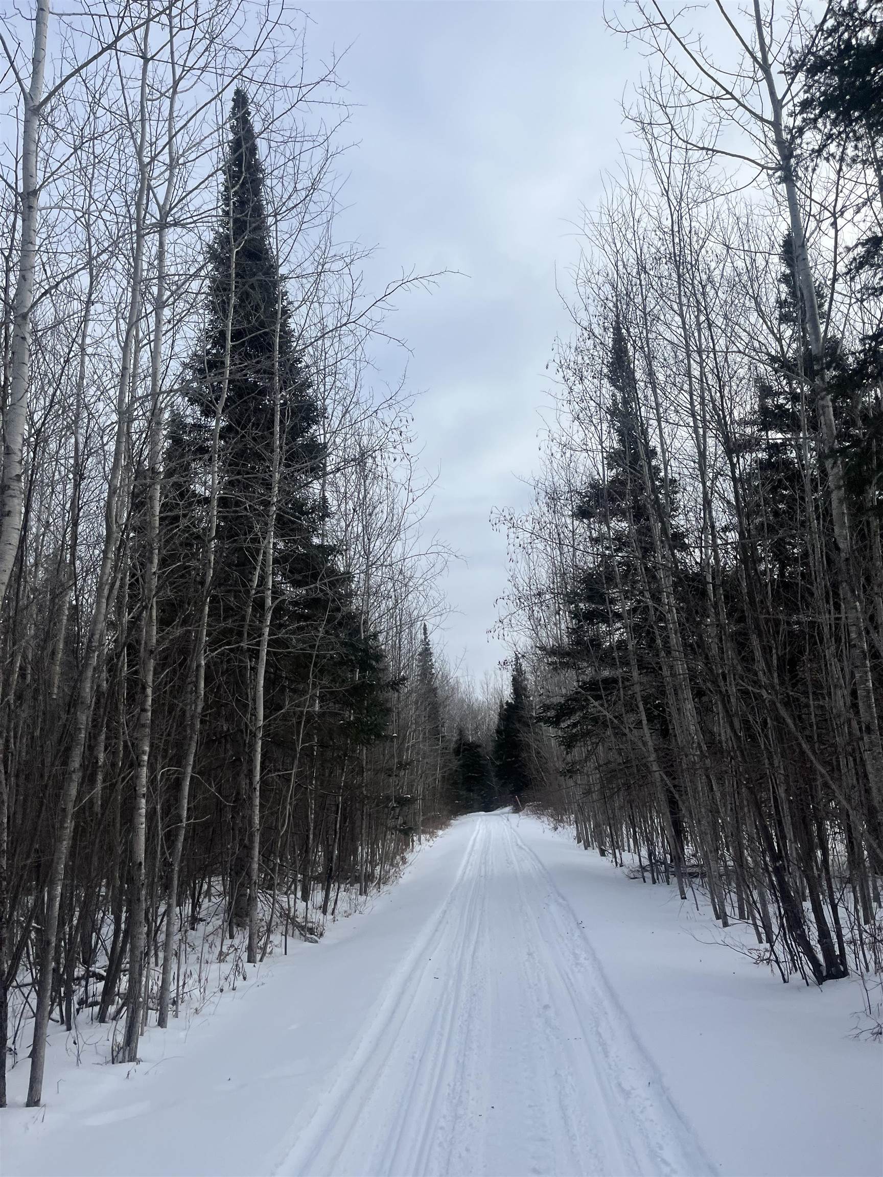 2497 South Nester Grade Road Two Harbors, MN 55616 - Photo 58 of 59