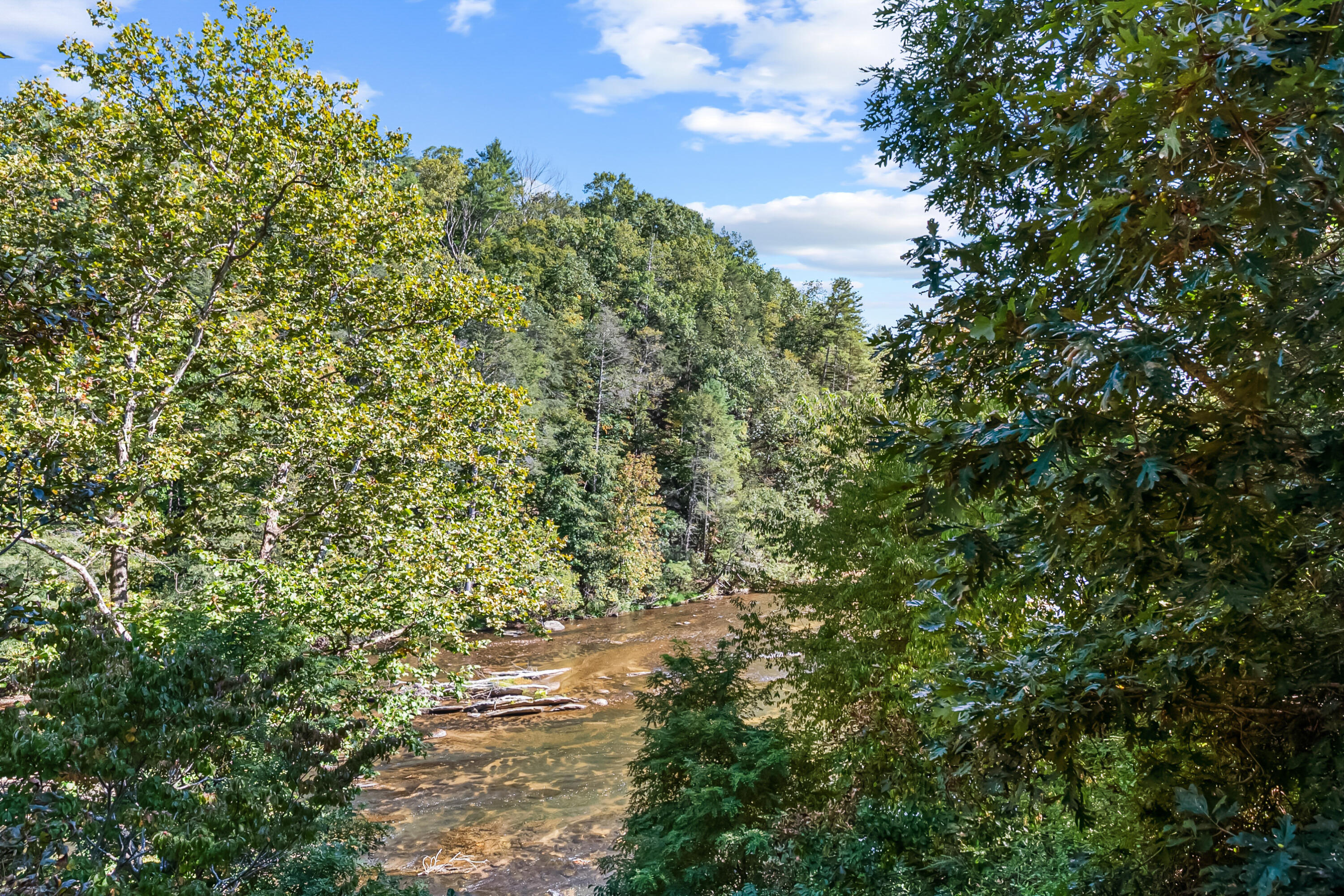6286 Chestnut Ridge Road Riner, VA 24149 - Photo 43 of 102 43
