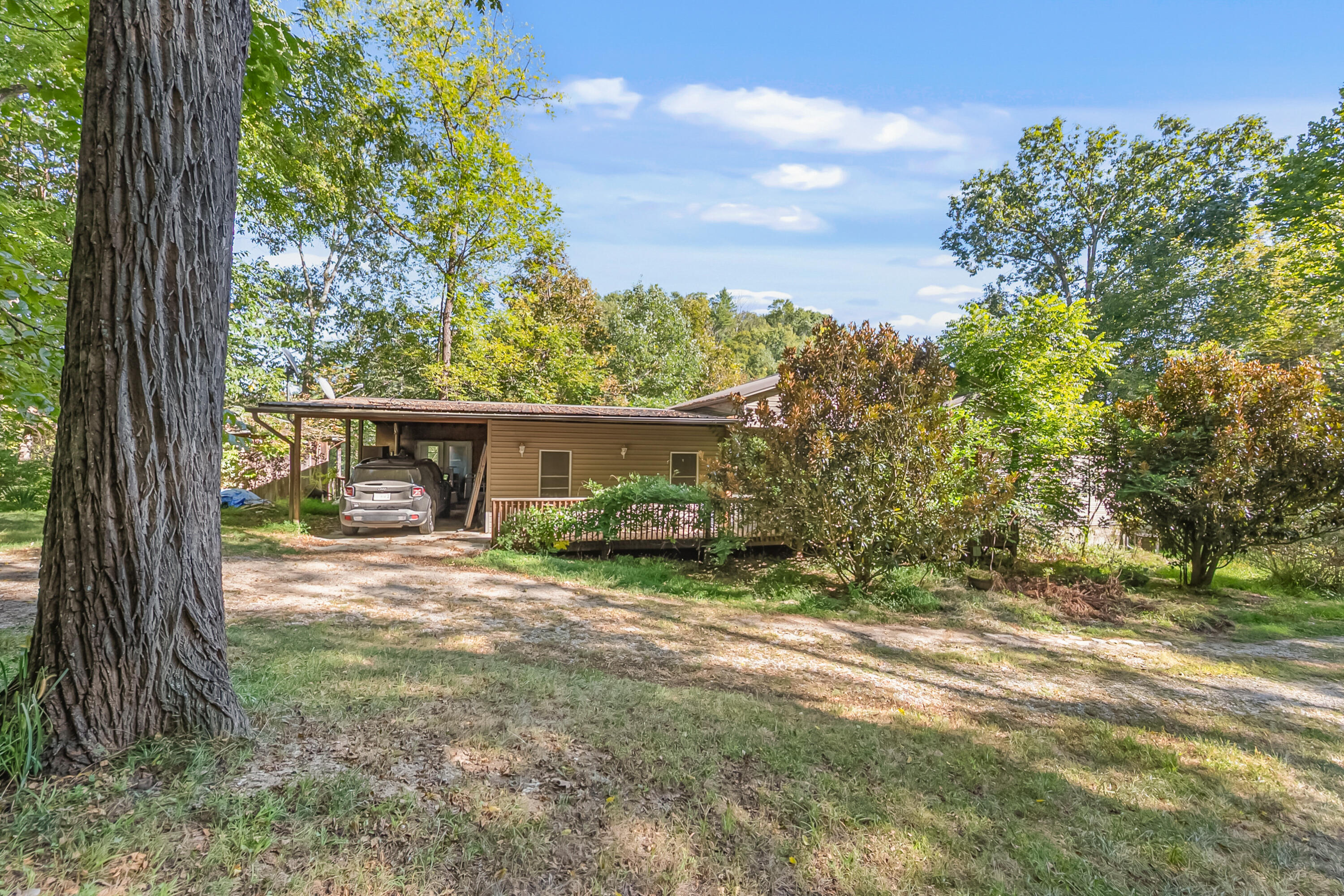 6286 Chestnut Ridge Road Riner, VA 24149 - Photo 6 of 102 a view of a house with backyard and a tree