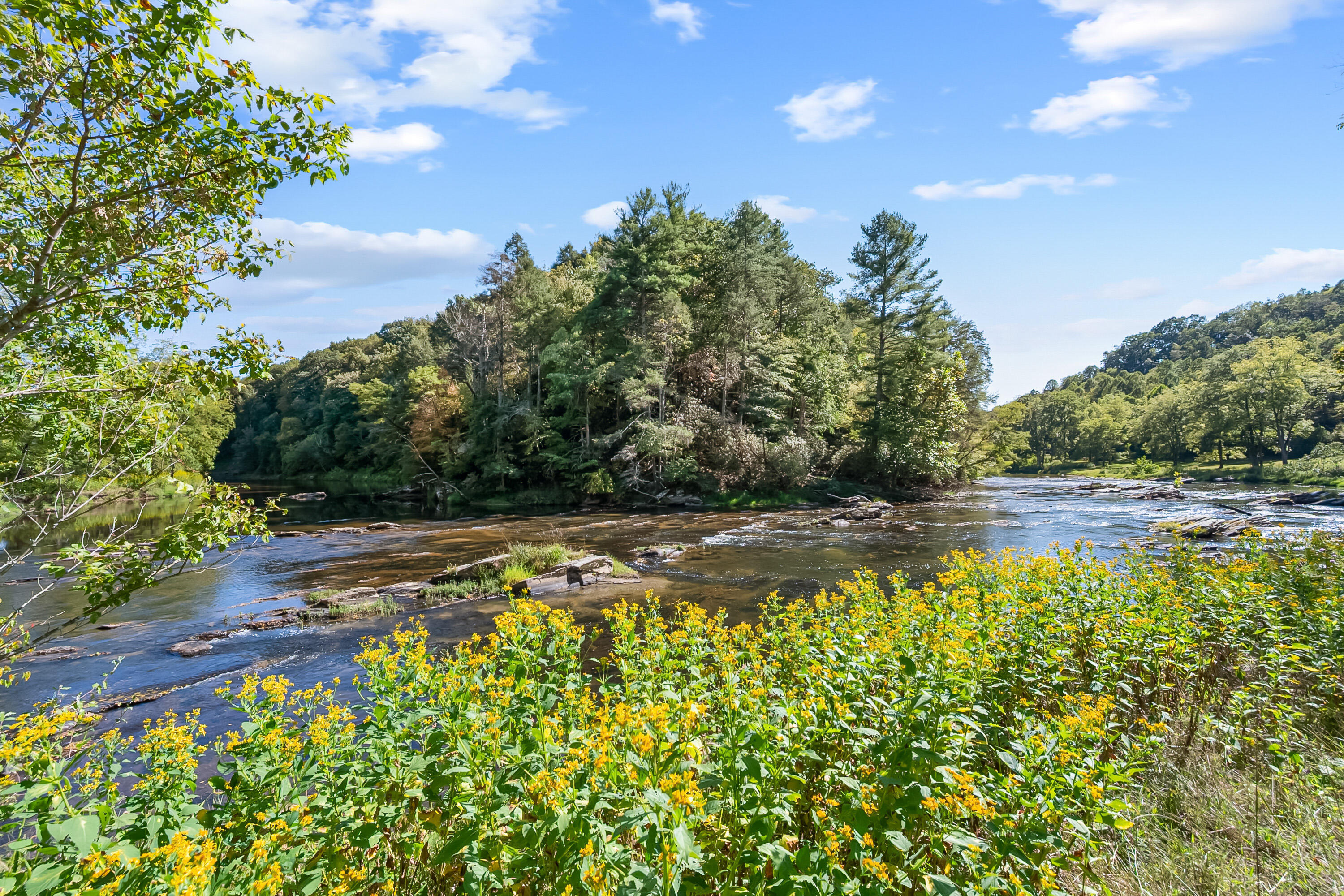 6286 Chestnut Ridge Road Riner, VA 24149 - Photo 64 of 102 64