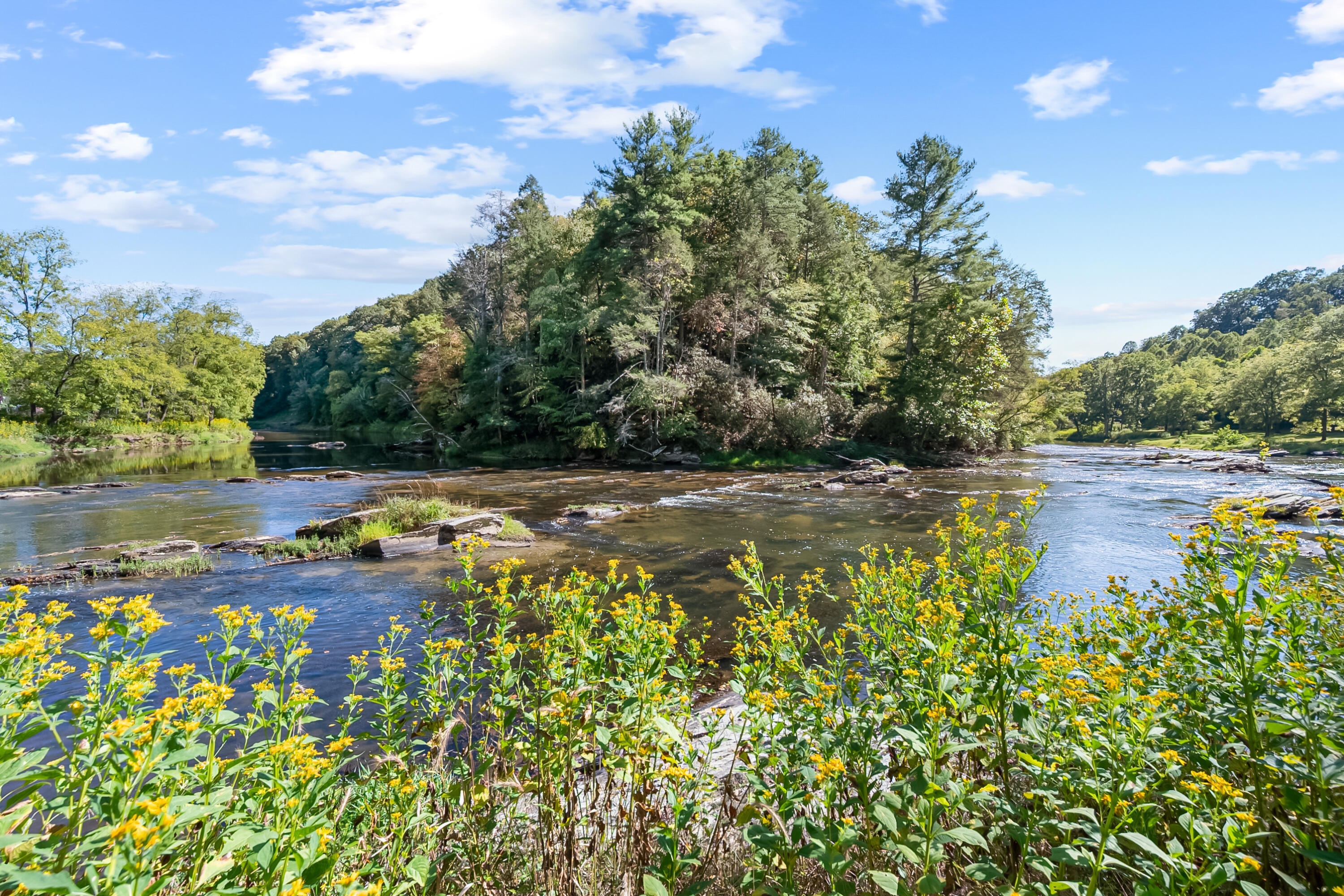 6286 Chestnut Ridge Road Riner, VA 24149 - Photo 65 of 102 a view of a swimming pool and a yard