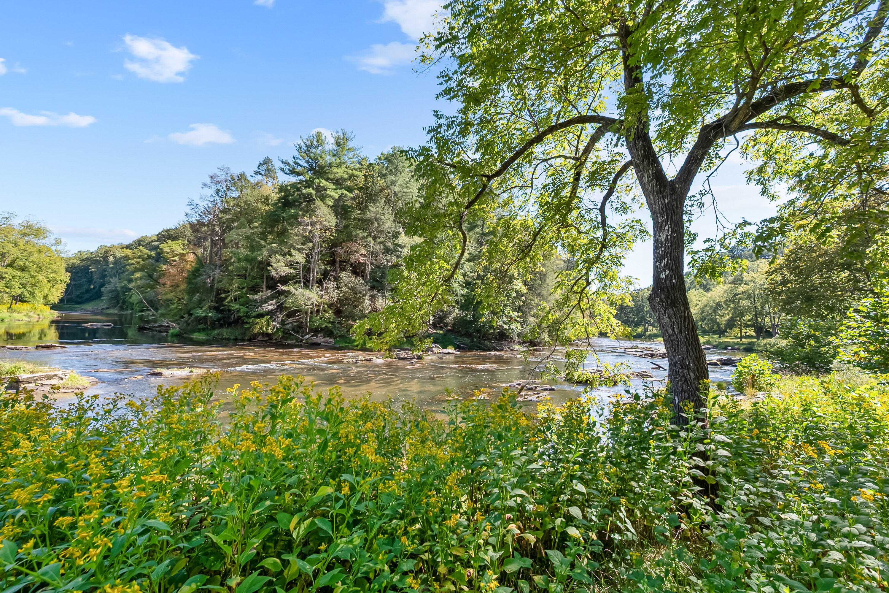 6286 Chestnut Ridge Road Riner, VA 24149 - Photo 69 of 102 69