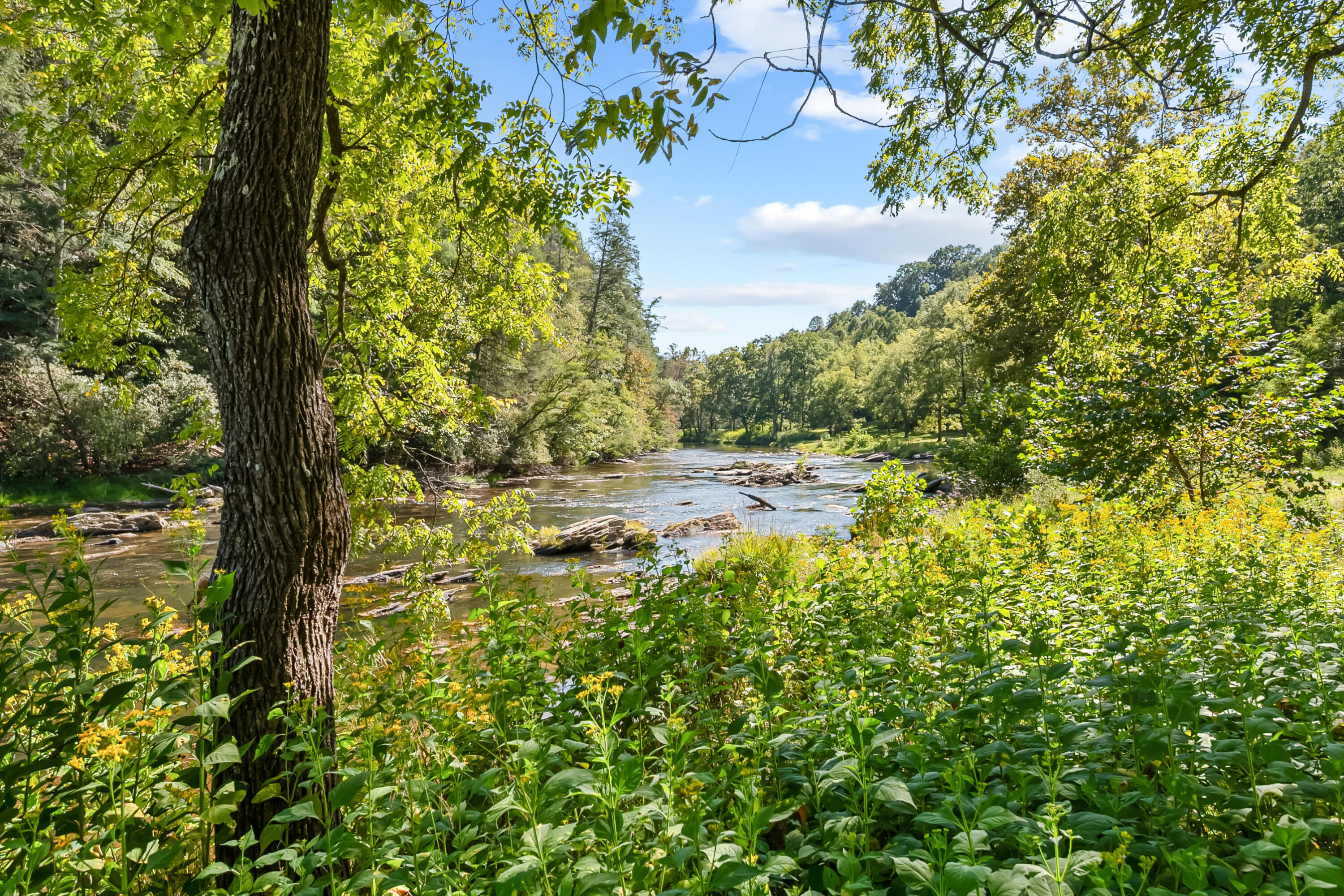 6286 Chestnut Ridge Road Riner, VA 24149 - Photo 70 of 102 70
