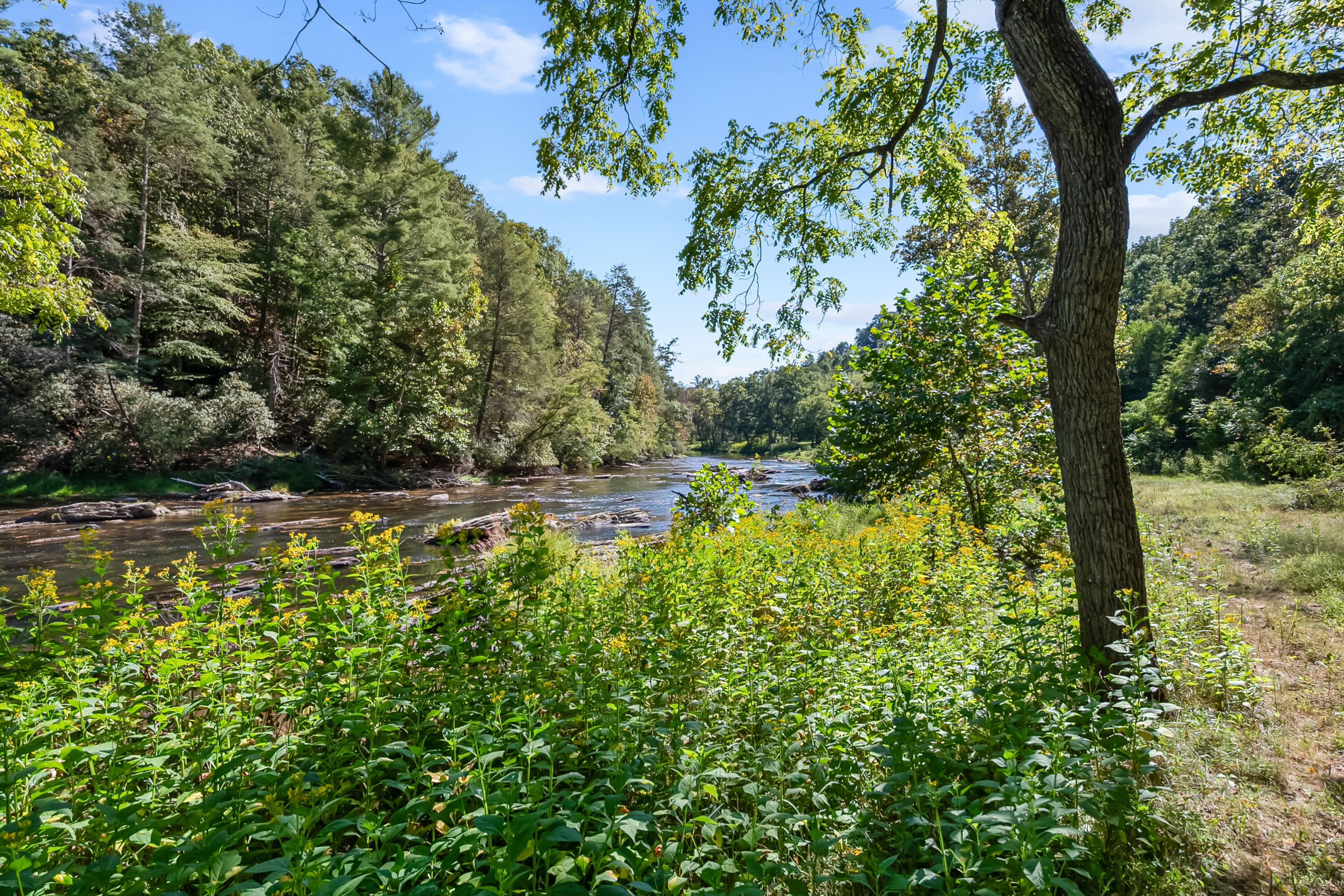 6286 Chestnut Ridge Road Riner, VA 24149 - Photo 71 of 102 a view of a yard with a tree