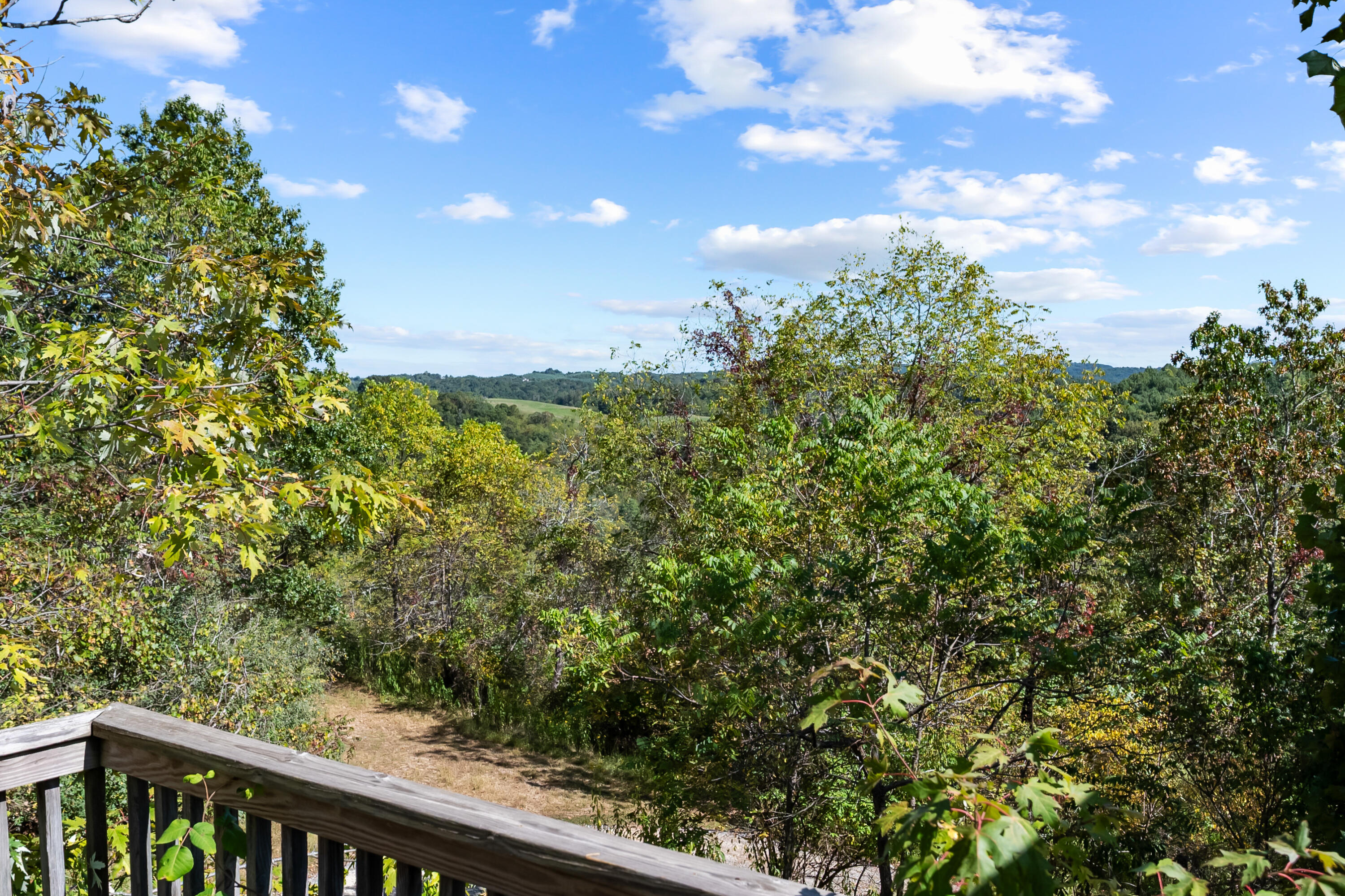 6286 Chestnut Ridge Road Riner, VA 24149 - Photo 94 of 102 a view of a yard with plants and wooden fence