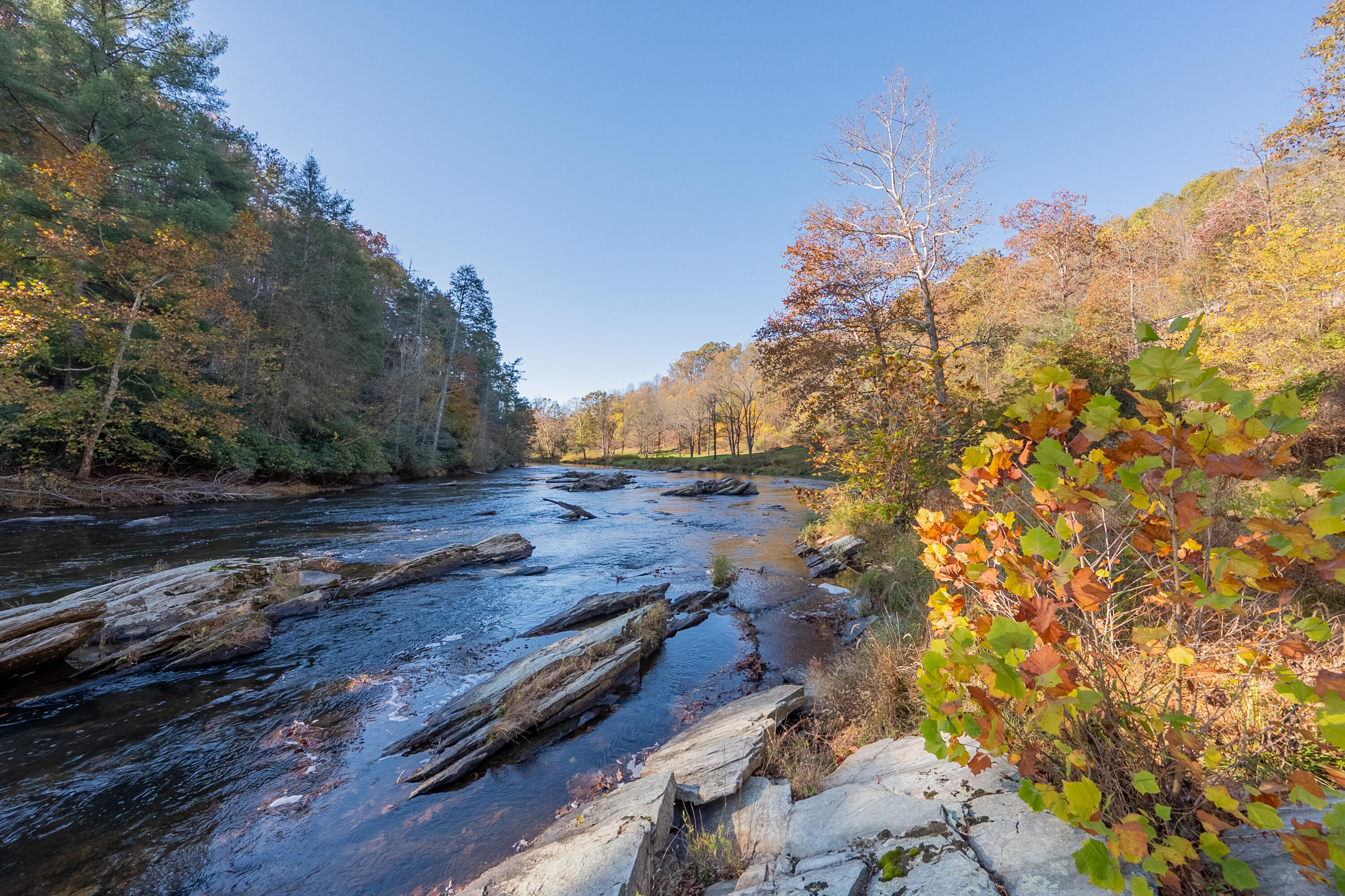 6286 Chestnut Ridge Road Riner, VA 24149 - Photo 96 of 102 a view of a yard with wooden fence