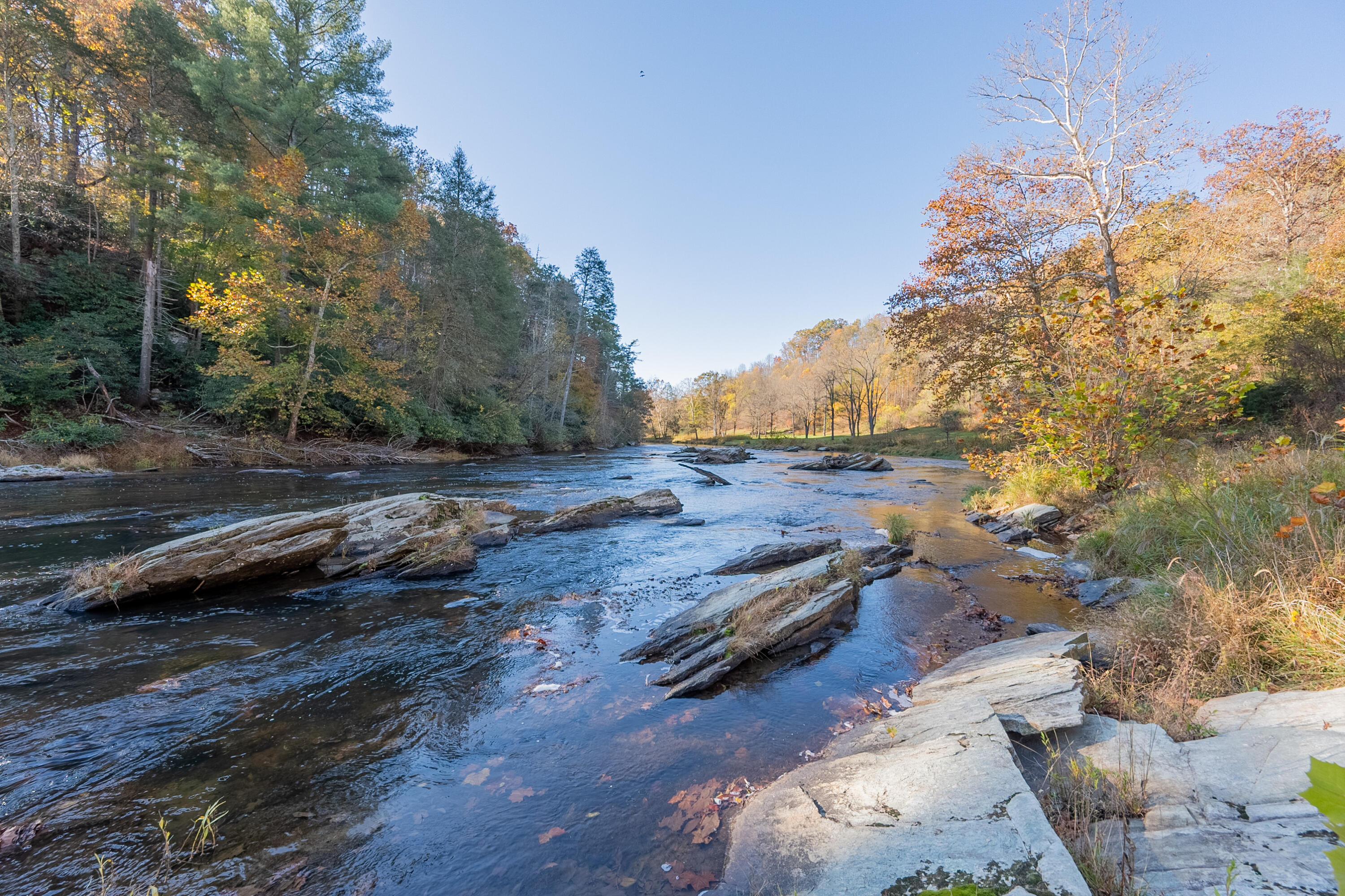 6286 Chestnut Ridge Road Riner, VA 24149 - Photo 98 of 102 a view of a yard with wooden fence