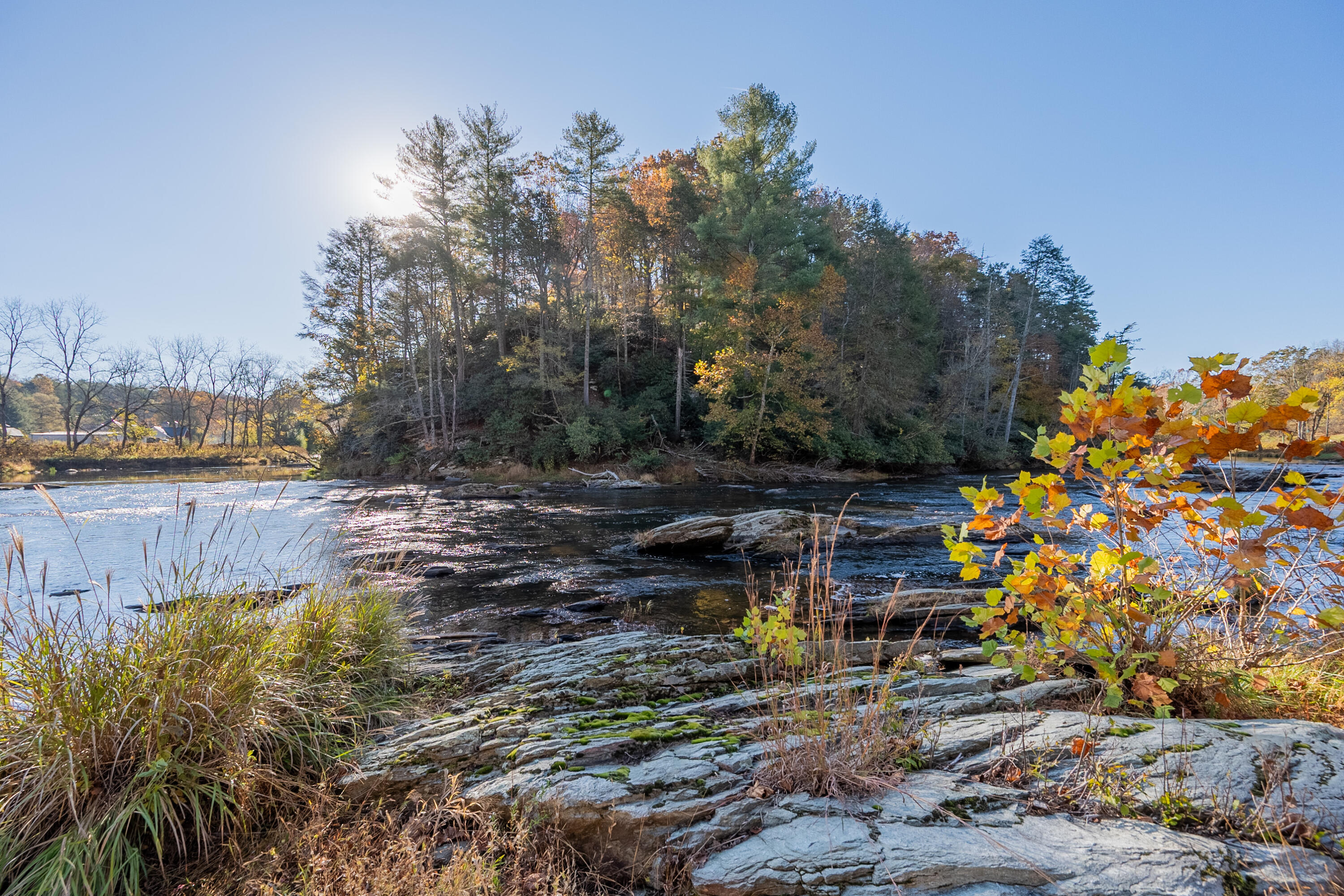 6286 Chestnut Ridge Road Riner, VA 24149 - Photo 99 of 102 riner update-47