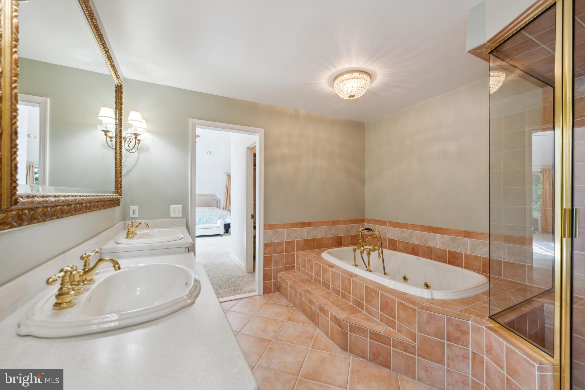 8235 Old Mill Road Pasadena, MD 21122 - Photo 16 of 45 Primary Bathroom
Jacuzzi Tub & large sep Shower