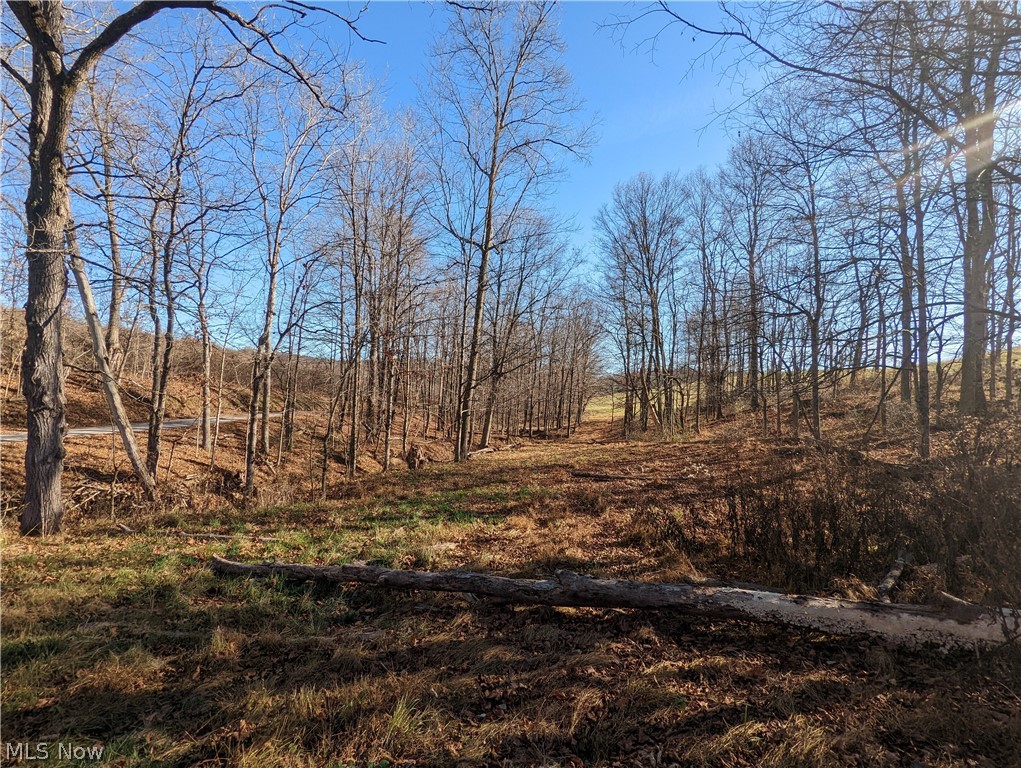 6 County Road Tippecanoe, OH 44699 - Photo 21 of 28 Gallery Image 21