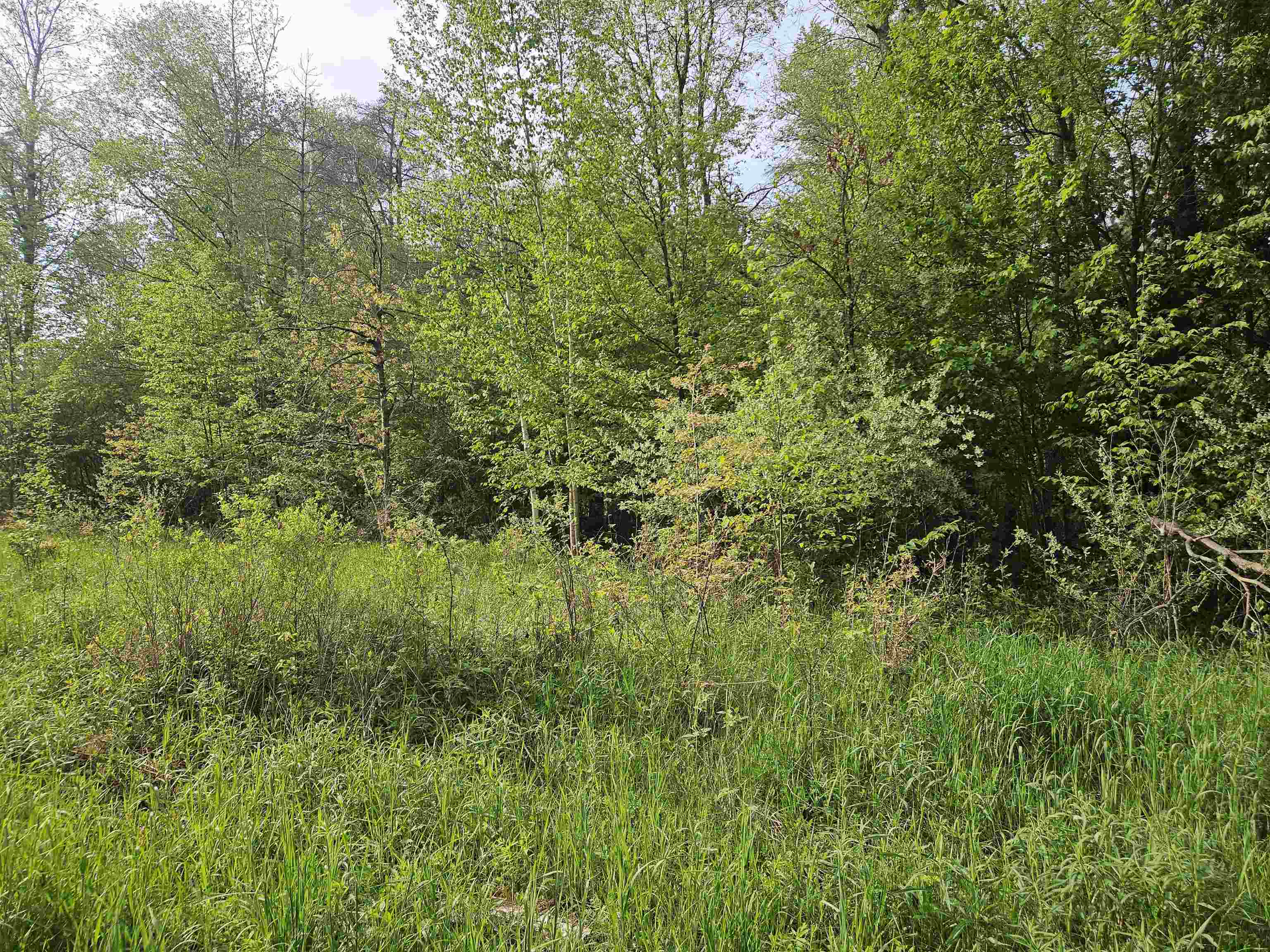 5350 East Cranberry Lake Road Harrison, MI 48625 - Photo 11 of 23