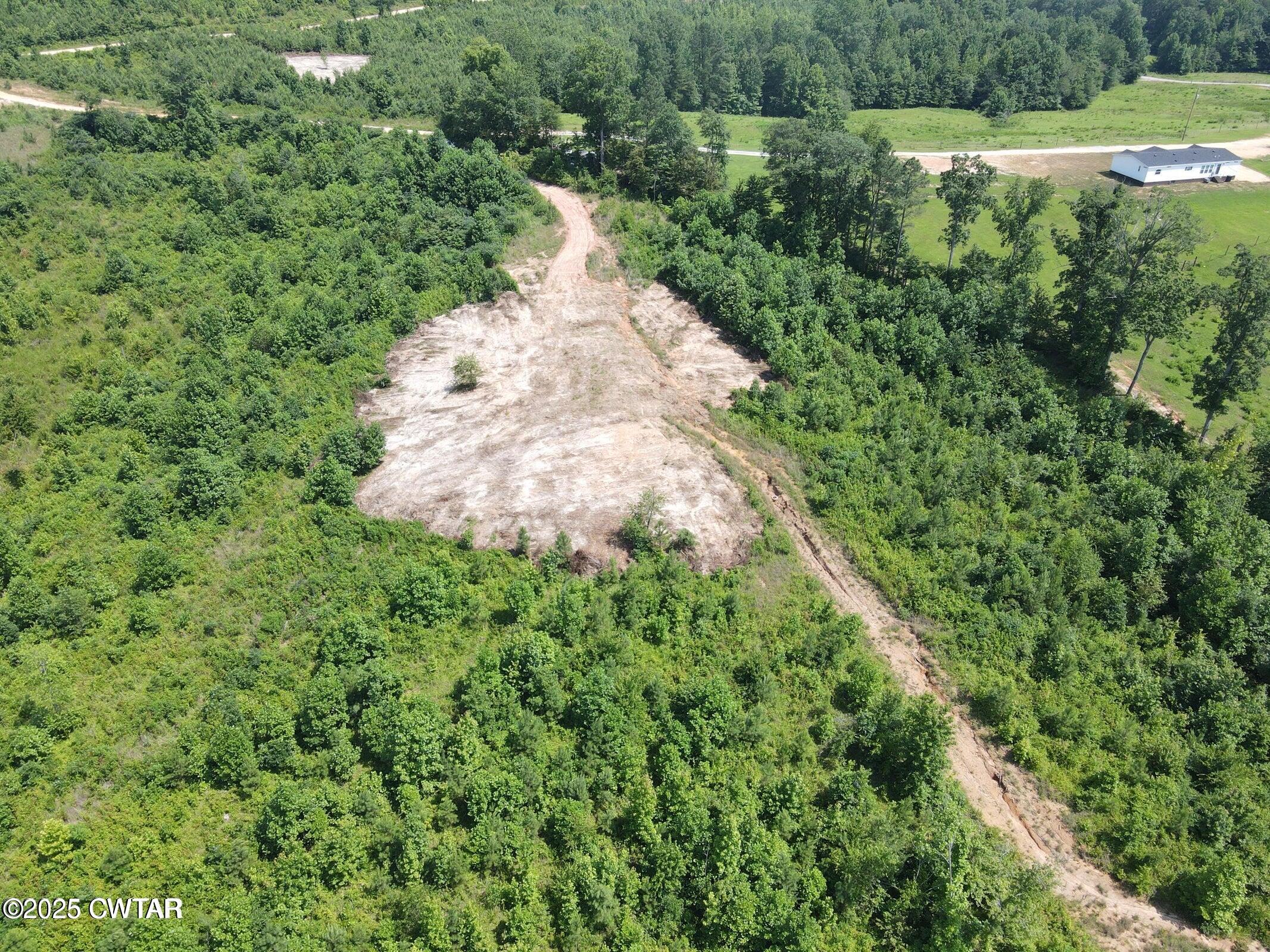 3 Tucker Road Decaturville, TN 38329 - Photo 3 of 6 a view of a lush green forest