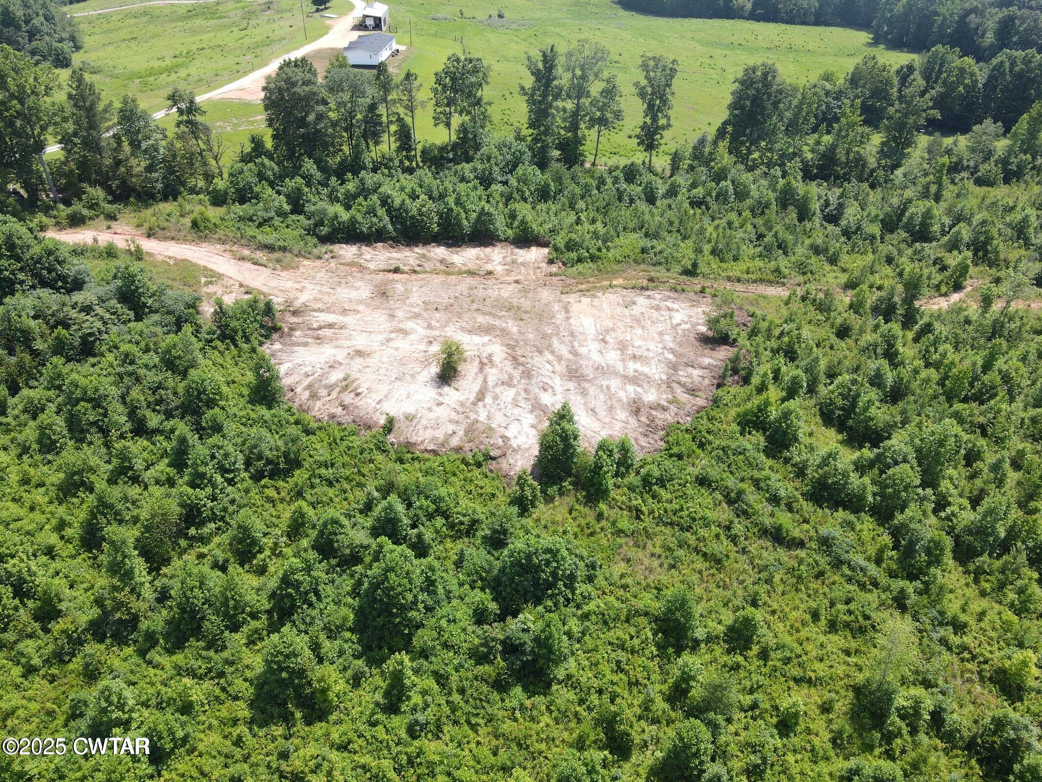 3 Tucker Road Decaturville, TN 38329 - Photo 4 of 6 a close up of a plant in a garden