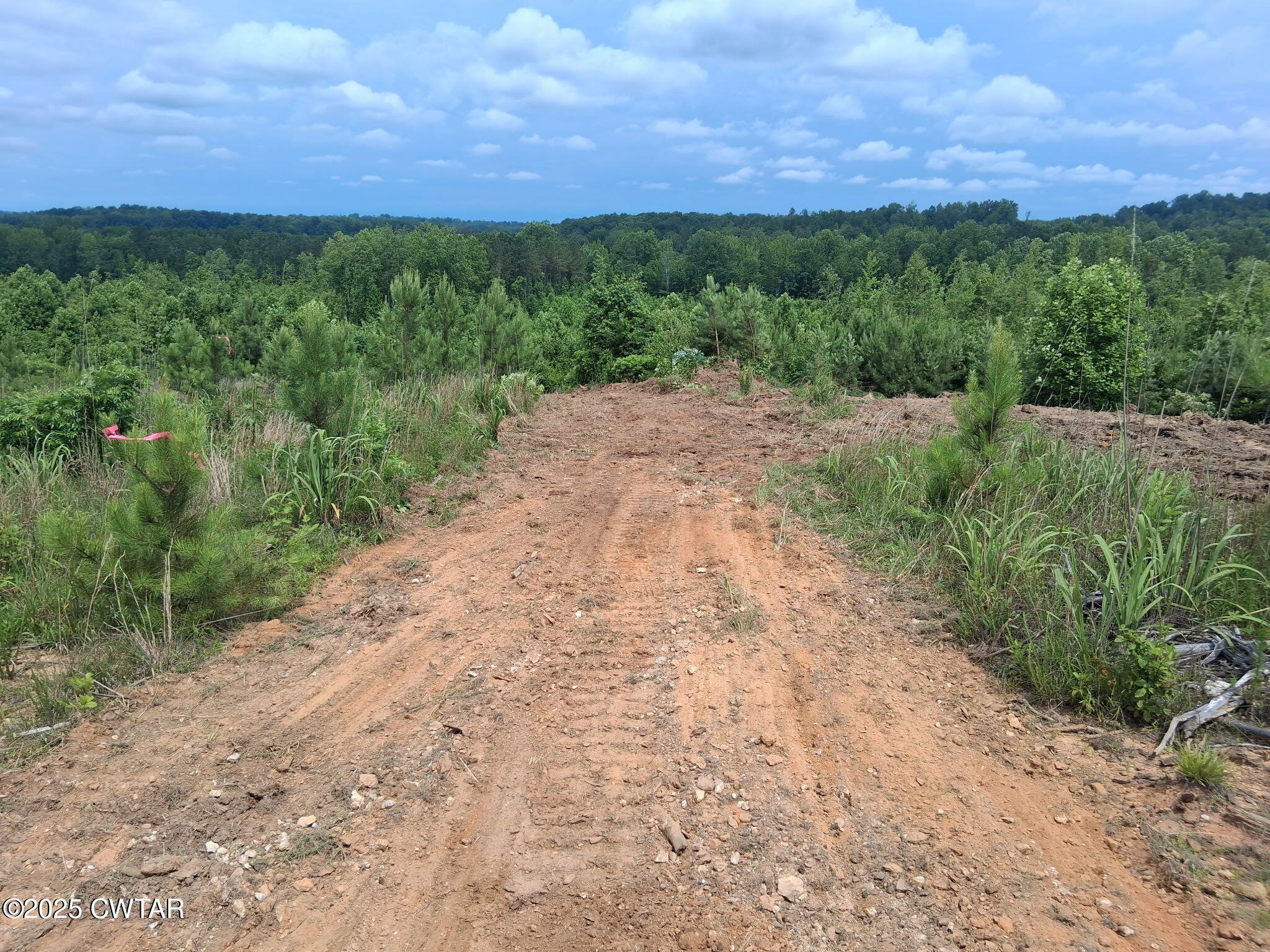 3 Tucker Road Decaturville, TN 38329 - Photo 6 of 6 a view of a yard with a street