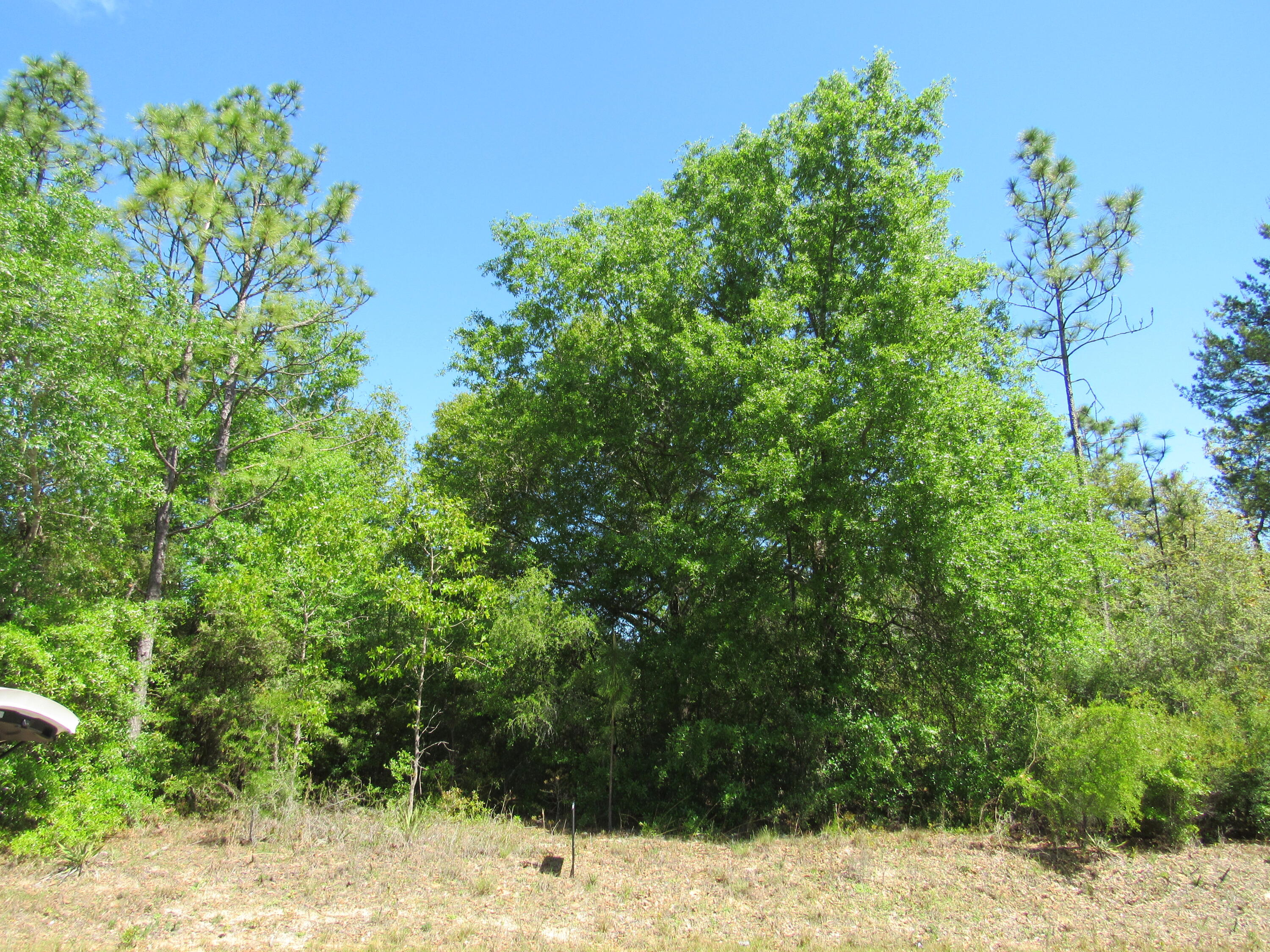 Lot 9 Richardson Road Crestview, FL 32539 - Photo 1 of 4