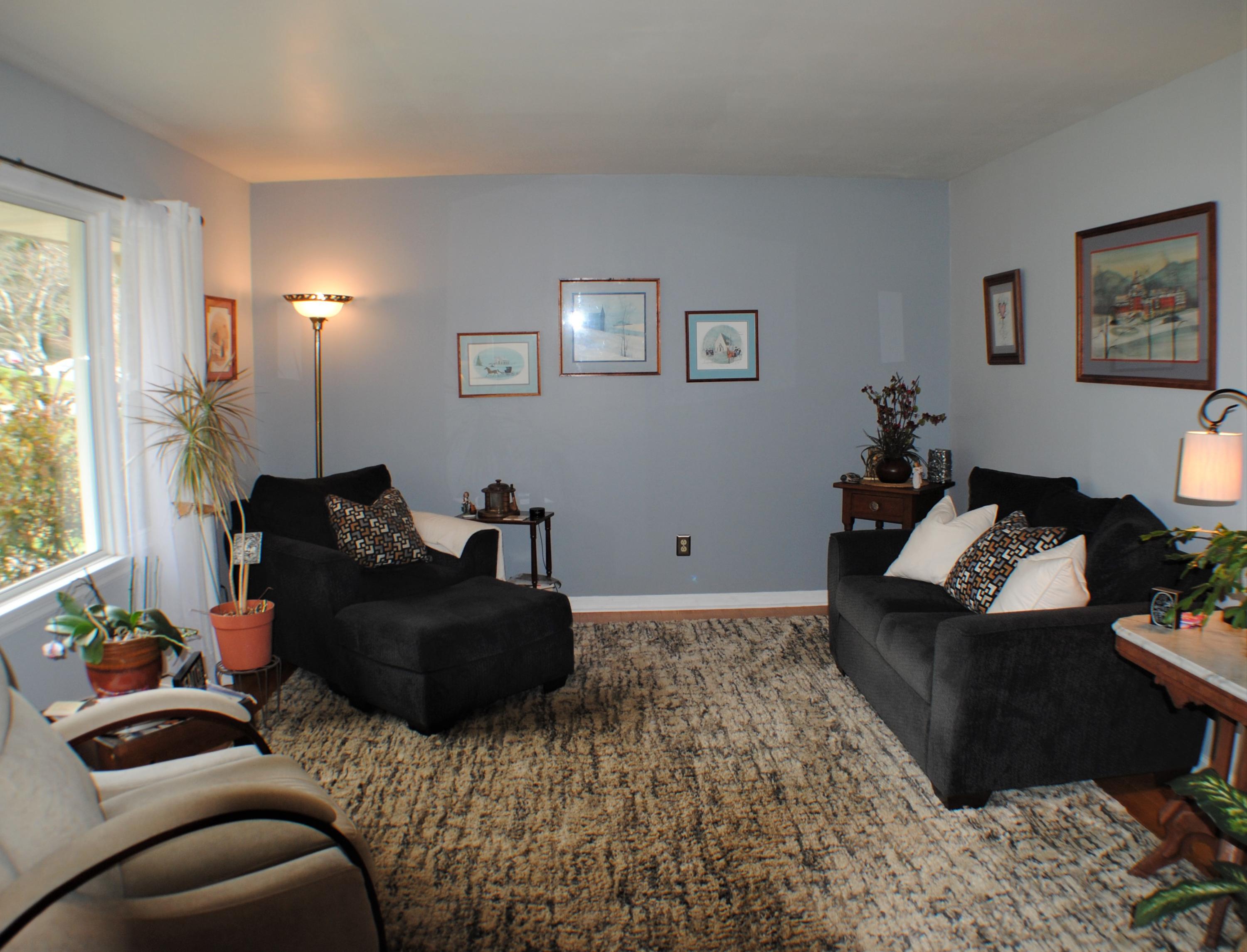 5229 Cave Spring Lane Roanoke, VA 24018 - Photo 4 of 49 a living room with furniture and a potted plant