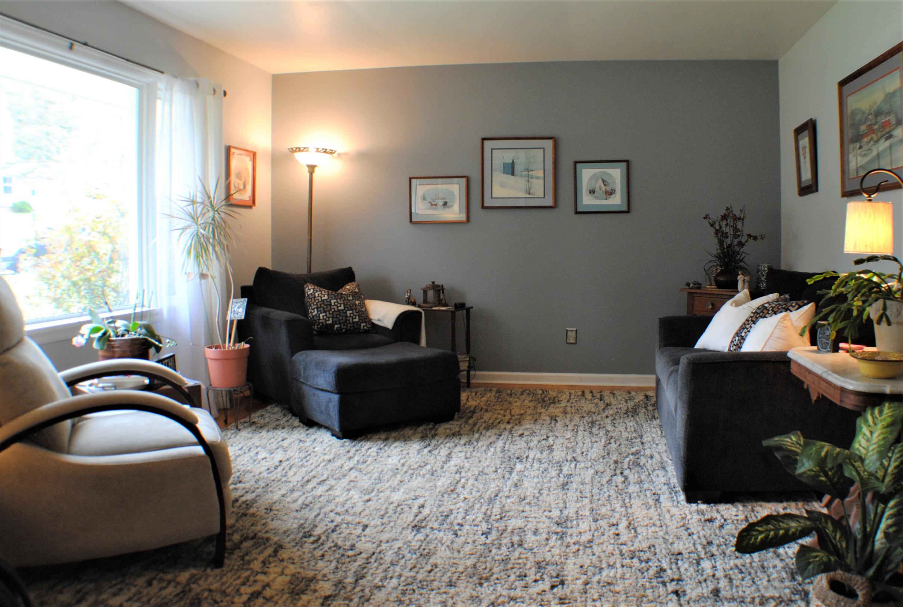 5229 Cave Spring Lane Roanoke, VA 24018 - Photo 43 of 49 a living room with furniture and a potted plant