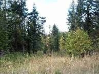 0 North Norman Road Spokane, WA 99217 - Photo 1 of 1