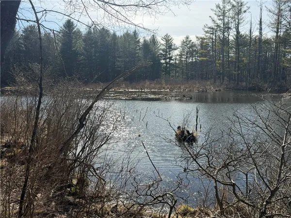 $99,400 | Hattie Clark Road, Oxford, NY 13830