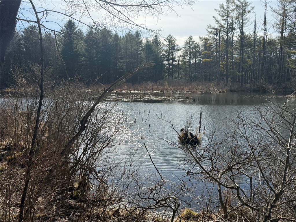 Hattie Clark Road Oxford, NY 13830 - Photo 1 of 10