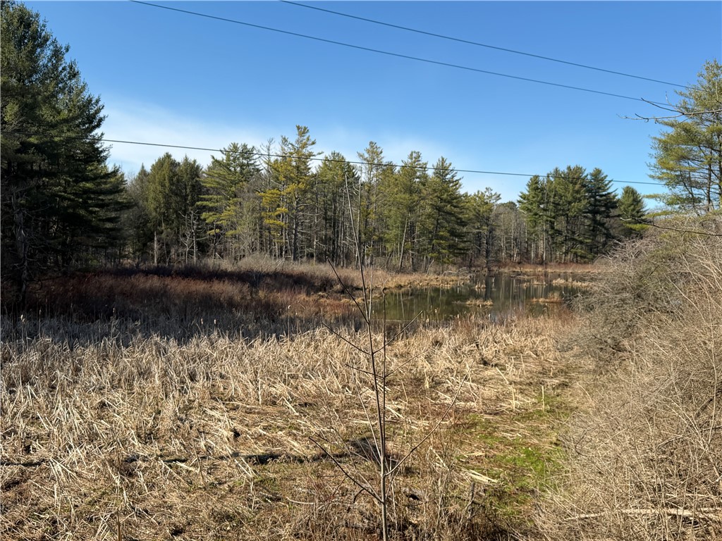 Hattie Clark Road Oxford, NY 13830 - Photo 3 of 10