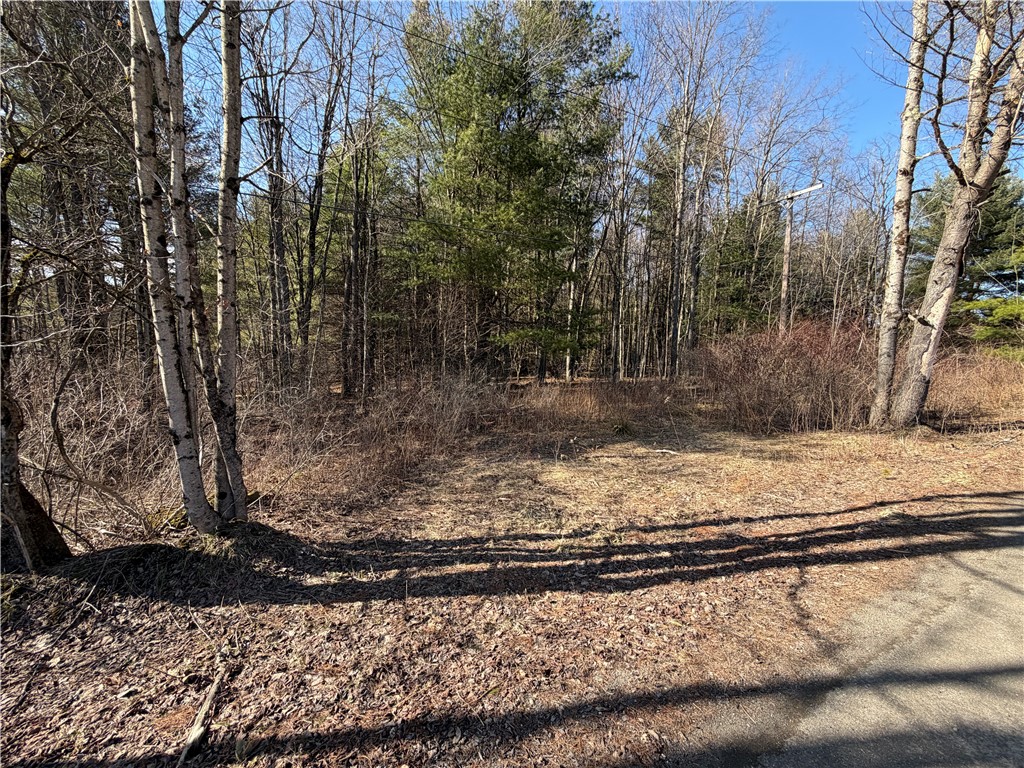 Hattie Clark Road Oxford, NY 13830 - Photo 4 of 10