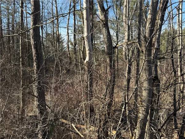 $99,400 | Hattie Clark Road, Oxford, NY 13830