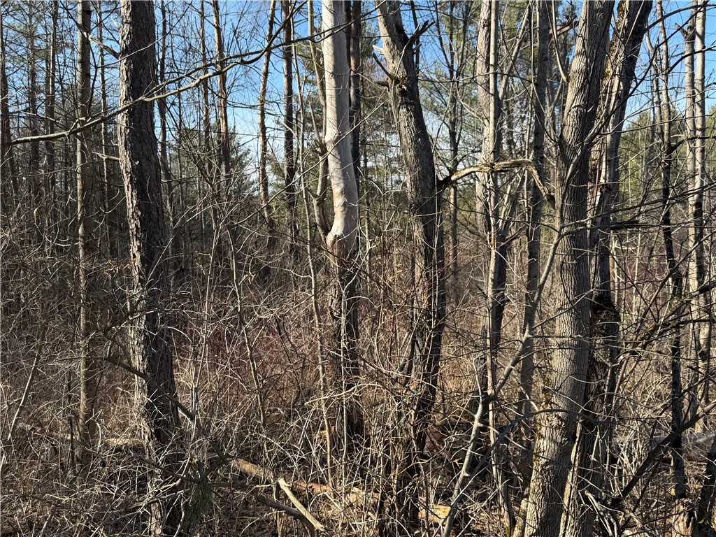 Hattie Clark Road Oxford, NY 13830 - Photo 5 of 10