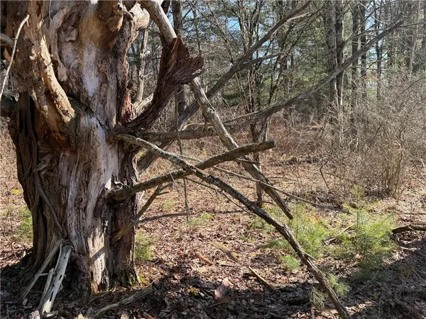 $99,400 | Hattie Clark Road, Oxford, NY 13830