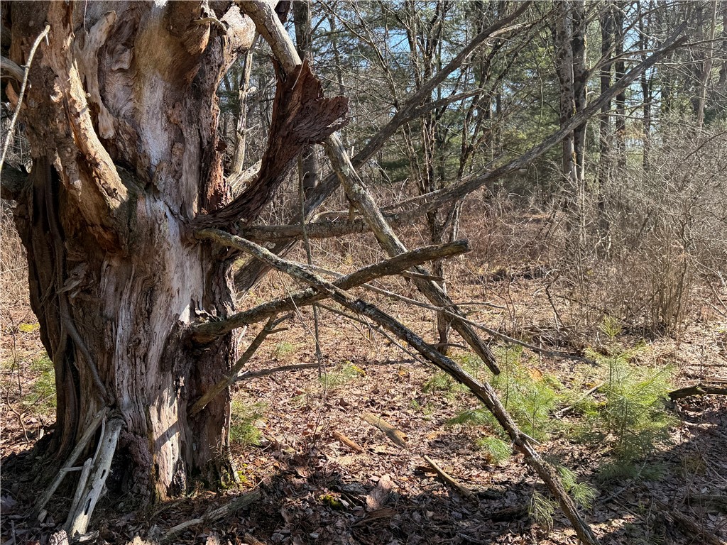 Hattie Clark Road Oxford, NY 13830 - Photo 7 of 10