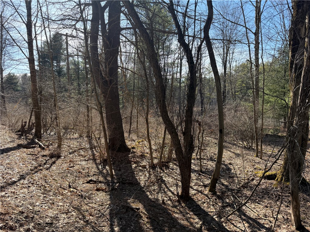 Hattie Clark Road Oxford, NY 13830 - Photo 8 of 10